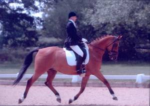 Sue and Starfighter at Hickstead