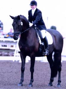 Happy final halt - Madison Avenue, Nationals